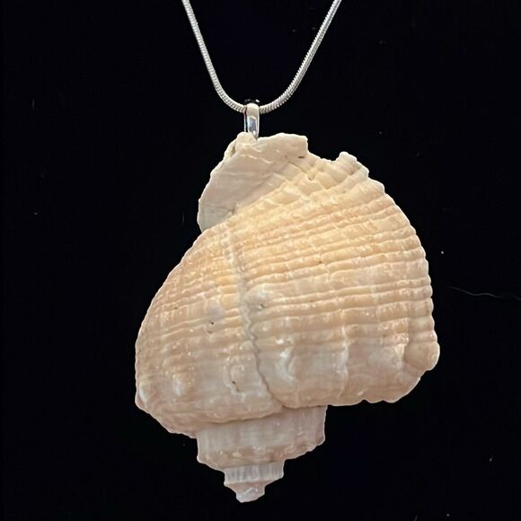 Handcrafted Natural Seashell Pendant Necklace on choice of necklace. - Picture 2 of 4